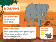 Раскраска «Дикие животные» - Фото 5