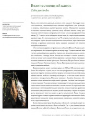 Выдающиеся деревья, которые изменили нашу жизнь - Фото 3