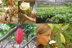 Шоколандия. Секреты шоколада и лучшие рецепты для домашней кухни - Фото 1