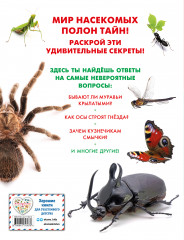 Насекомые - Фото 1