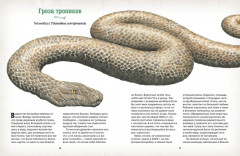 Музей доисторических животных. Единороги, мамонты, динозавры и другие экспонаты - Фото 1