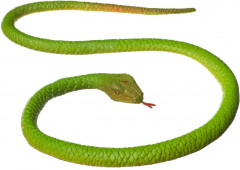 Игрушка-тянучка «Змея» - Фото 1