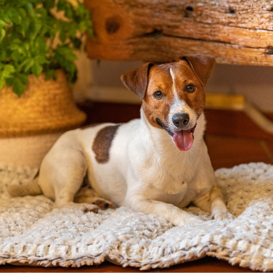 Мягкая подстилка «Vanilla»