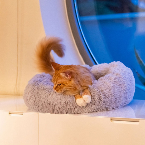 Лежак для животных «Сuddly»