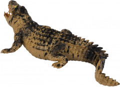 Игрушка-тянучка «Крокодил» - Фото 1