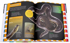 Российская энциклопедия для девочек и мальчиков - Фото 1