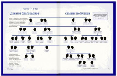 Гарри Поттер. Персонажи - Фото 2