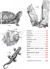 Рисуем животных ручками и маркерами. 26 реалистичных проектов - Фото 2