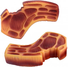 Игрушка для питомцев «Стейк» - Фото 2