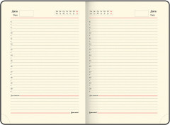 Ежедневник недатированный - Фото 10
