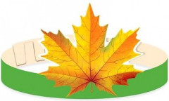 Комплект масок-ободков для группы детского сада «Осенние листья» - Фото 4