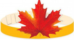 Комплект масок-ободков для группы детского сада «Осенние листья» - Фото 5