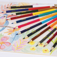 Набор карандашей двусторонних - Фото 5