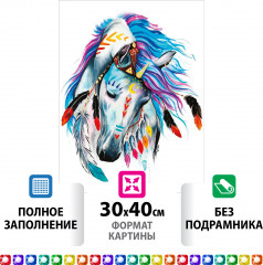 Мозаика алмазная «Индейская лошадь» - Фото 1