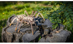 Модель сборная 3D «Паук» - Фото 10