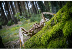 Модель сборная 3D «Паук» - Фото 11