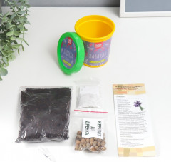 Набор для выращивания «Лаванда» - Фото 1