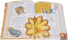 Животные. Полная энциклопедия - Фото 3