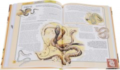 Животные. Полная энциклопедия - Фото 2