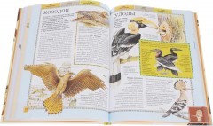 Животные. Полная энциклопедия - Фото 1