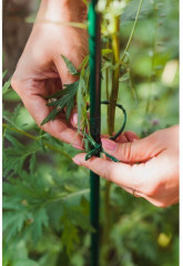Набор подвязок для растений - Фото 3