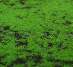 Мох искусственный полотно - Фото 3