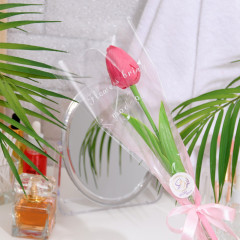 Тюльпан мыльный - Фото 1