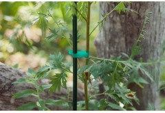 Тапенер для подвязки растений «Tapetool B» - Фото 7