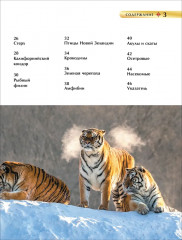 Красная книга - Фото 1