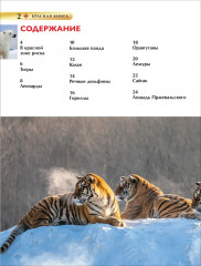 Красная книга - Фото 2