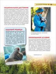 Красная книга - Фото 4