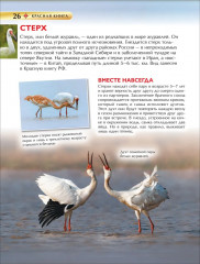 Красная книга - Фото 5