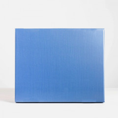 Коробка складная «Tropical» - Фото 2