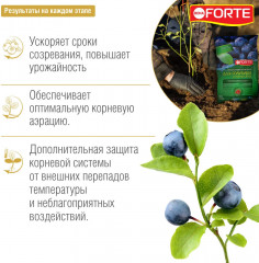 Грунт для голубики и лесных ягод - Фото 1