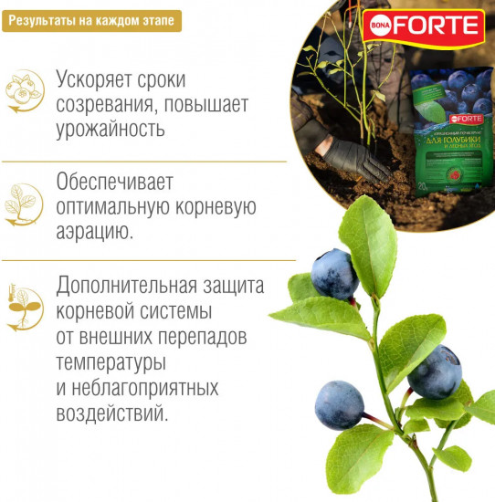 Грунт для голубики и лесных ягод