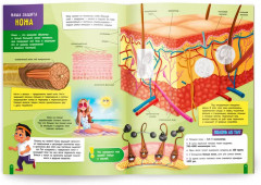 Мой первый атлас с наклейками. Тело человека - Фото 1