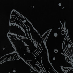 Набор для скретчинга «Хищная акула» - Фото 2