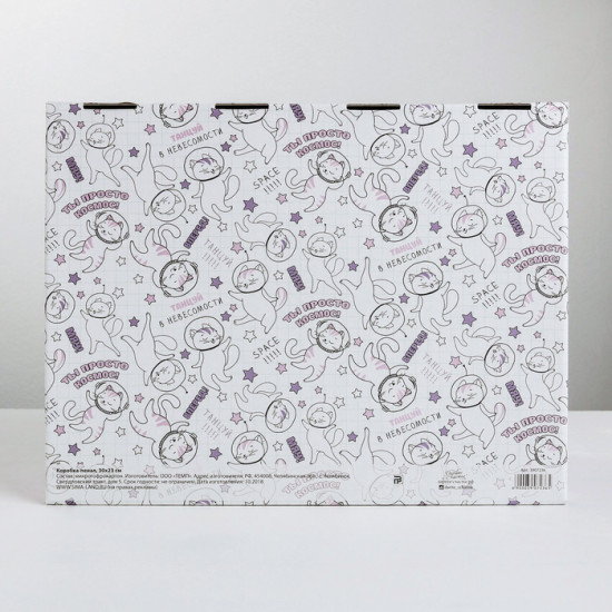 Коробка-пенал «Ты просто космос»