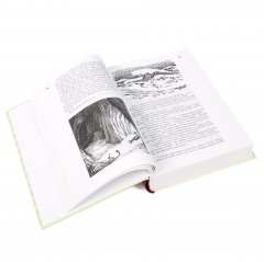 Все о муми-троллях - Фото 1