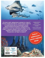 Океаны и моря. Виртуальная реальность - Фото 1