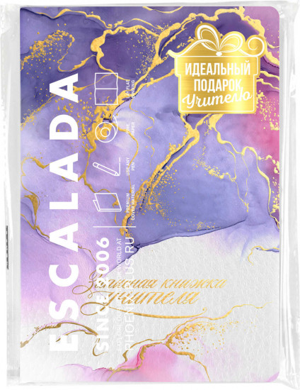 Записная книга учителя