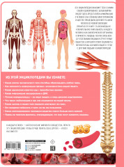 Человек - Фото 1