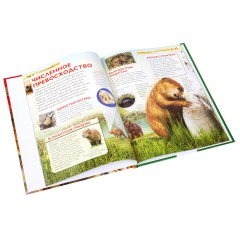 Млекопитающие - Фото 3