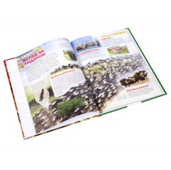 Млекопитающие - Фото 2