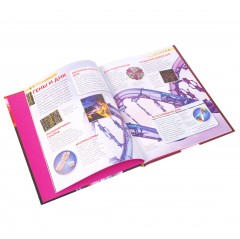 Тело человека - Фото 4