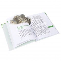 Увлекательная химия - Фото 2