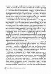 Миопатии в практике клинициста. Руководство для врачей - Фото 4