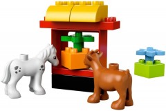 Мой первый сад - Фото 3