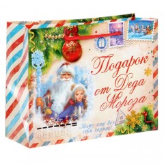 Пакет ламинат горизонтальный «Подарок от Деда Мороза» (23×0,2×8 см) - Фото 1