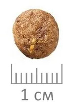 Корм для кошек - Фото 4